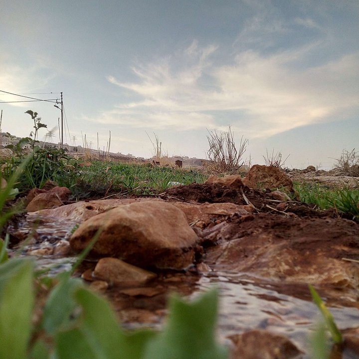 مشاركاتي في أنت الراصد