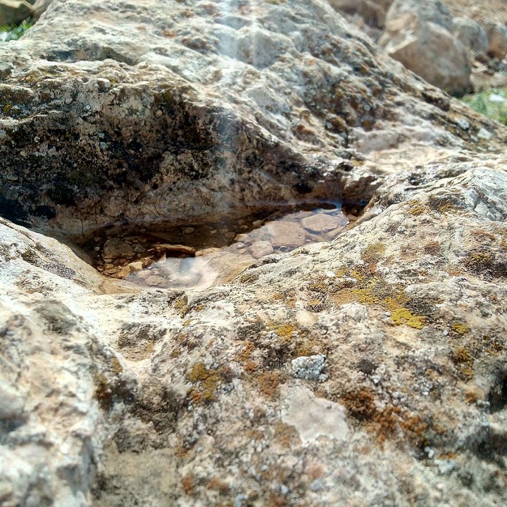 مشاركاتي في أنت الراصد