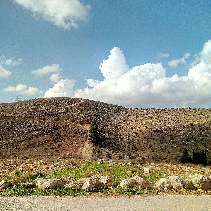 مشاركاتي في أنت الراصد