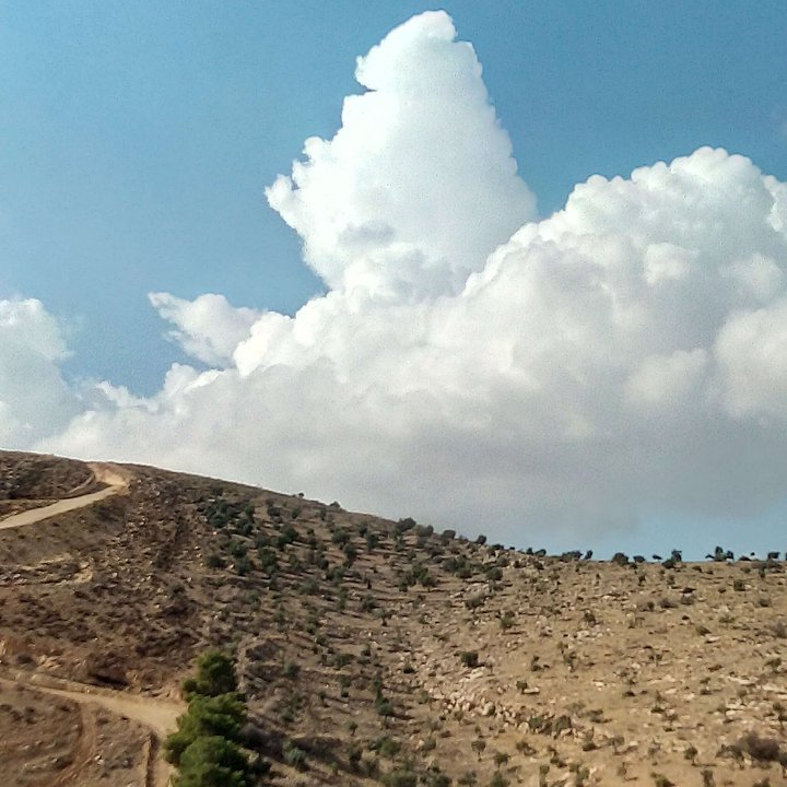 مشاركاتي في أنت الراصد