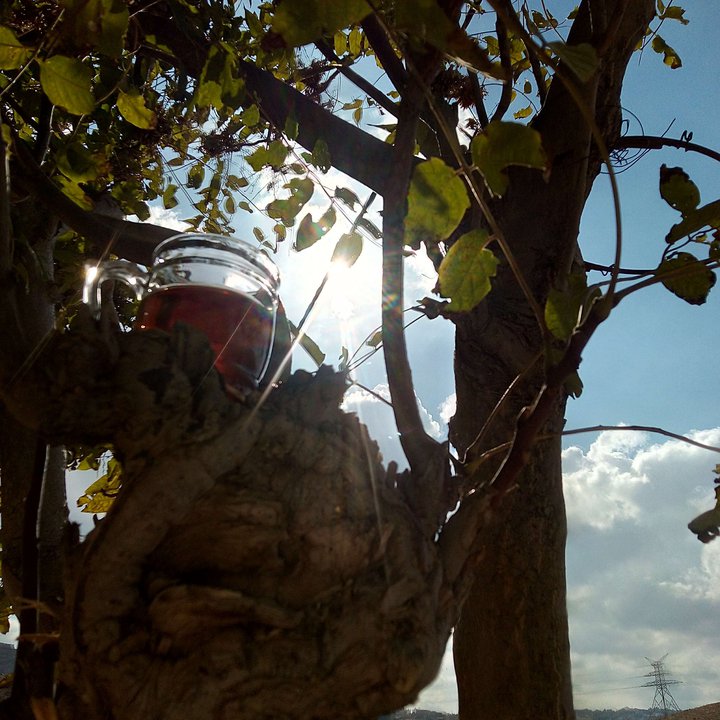 مشاركاتي في أنت الراصد