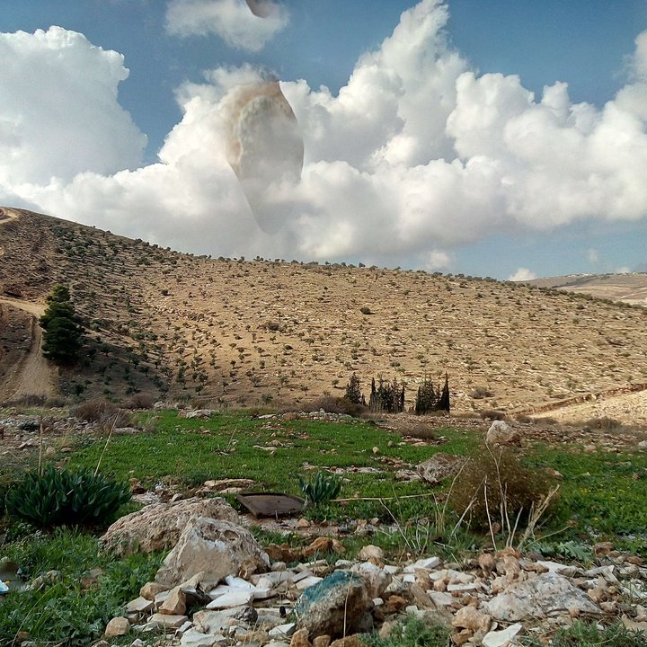 مشاركاتي في أنت الراصد