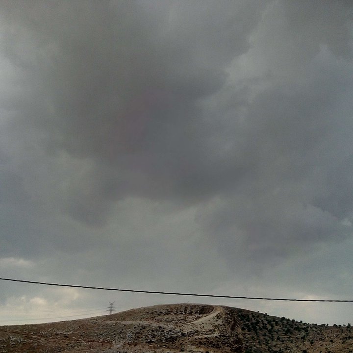 مشاركاتي في أنت الراصد