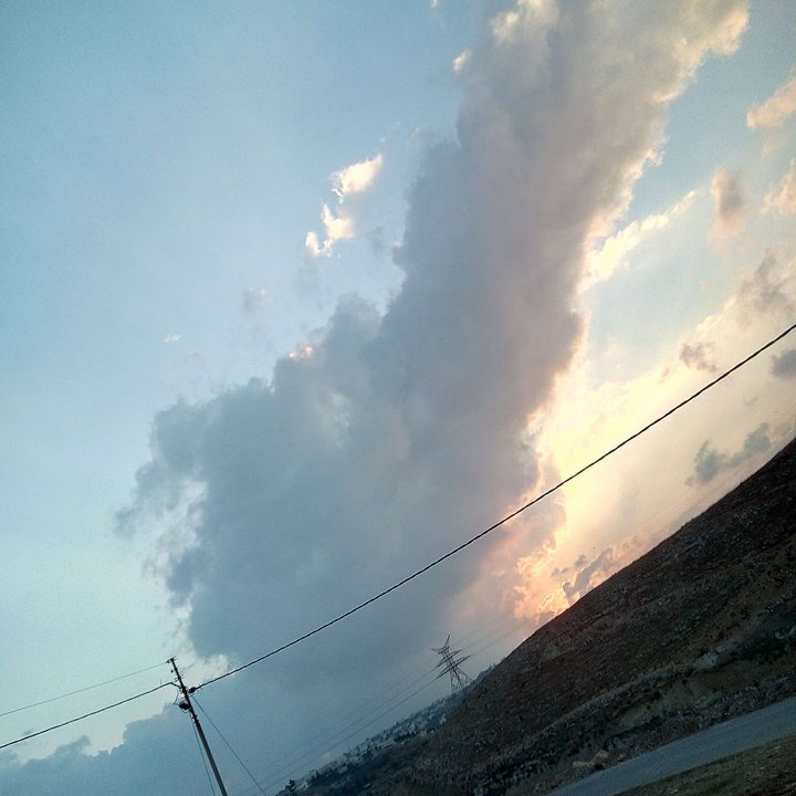 مشاركاتي في أنت الراصد