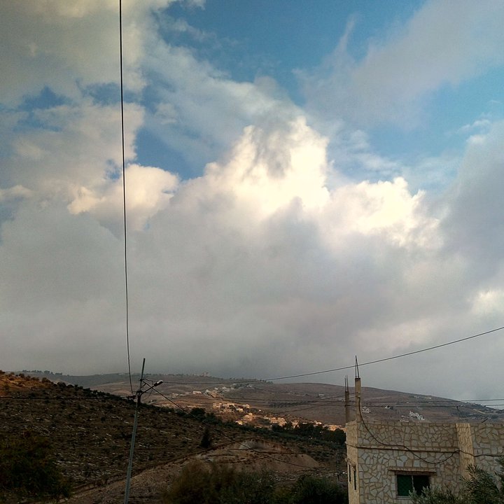 مشاركاتي في أنت الراصد