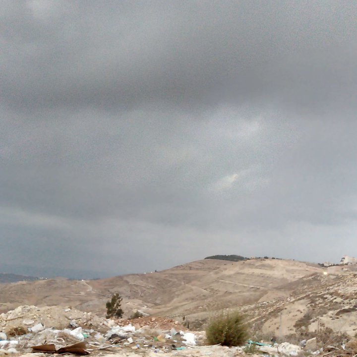 مشاركاتي في أنت الراصد