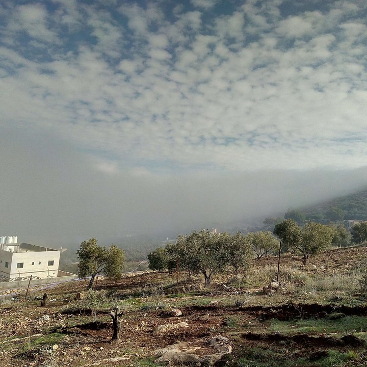 مشاركاتي في أنت الراصد