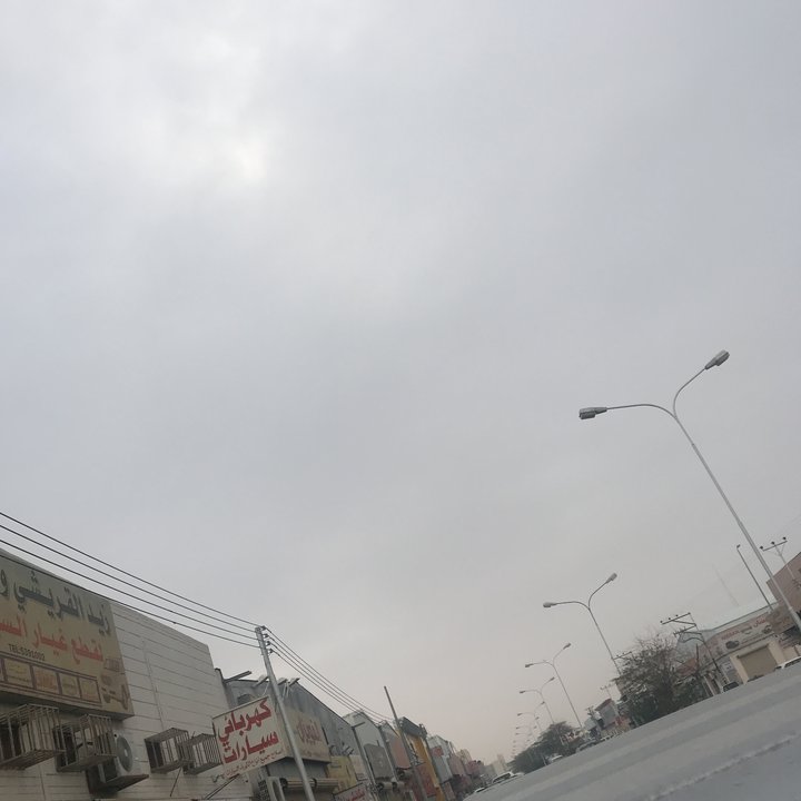 مشاركاتي في أنت الراصد