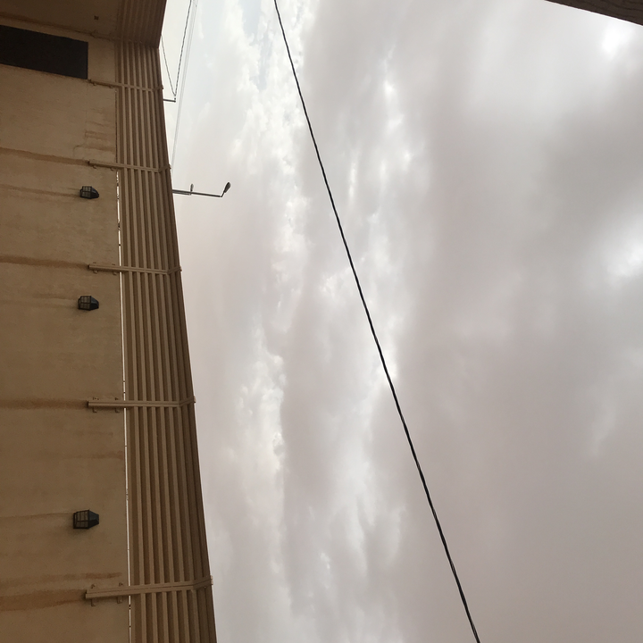 مشاركاتي في أنت الراصد