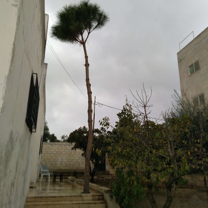 My Crowdsourcing Posts