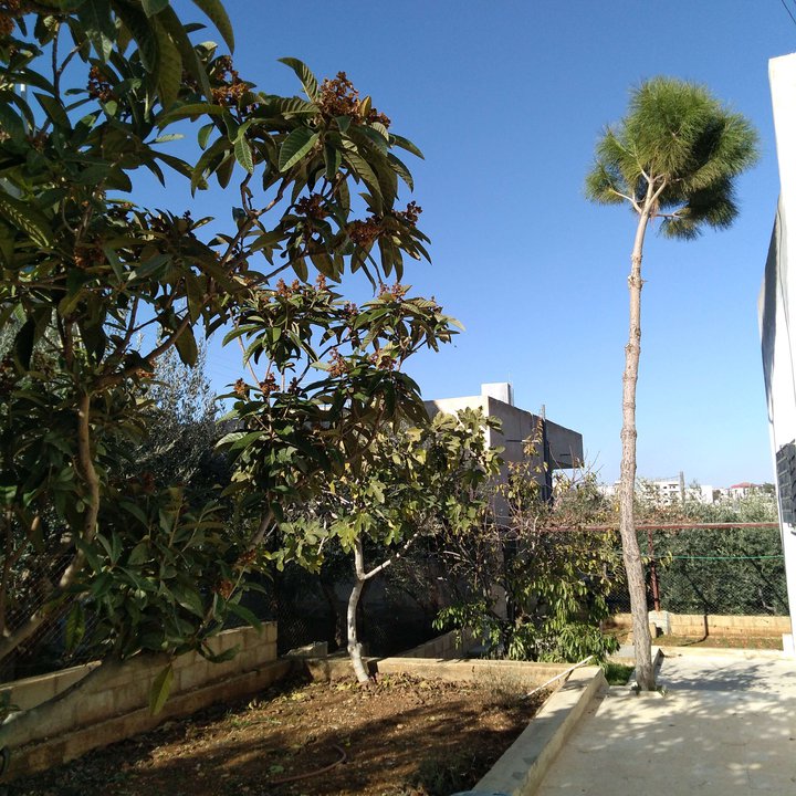 My Crowdsourcing Posts