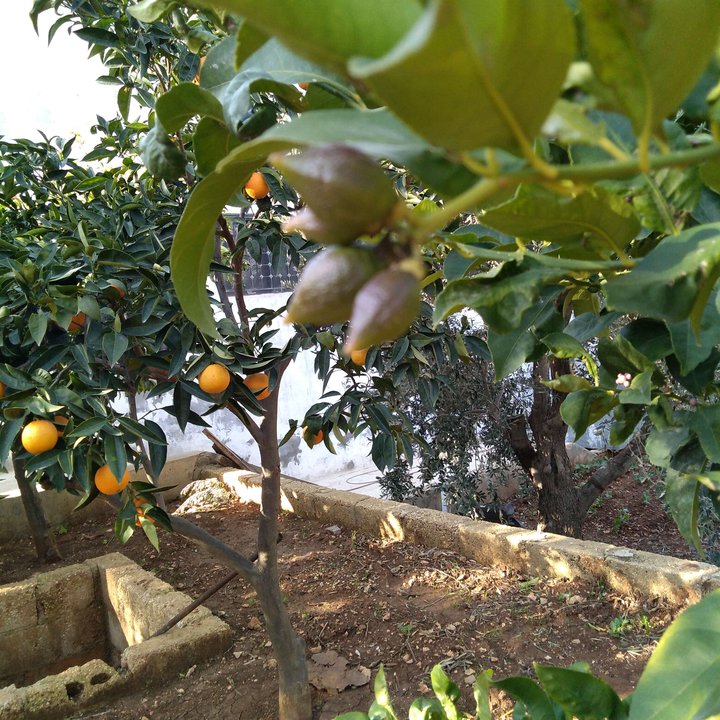 My Crowdsourcing Posts