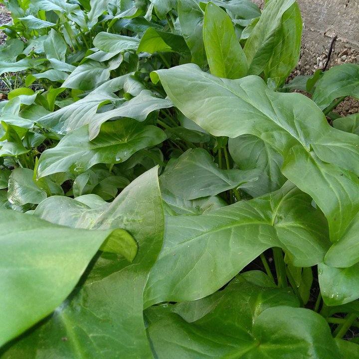 My Crowdsourcing Posts