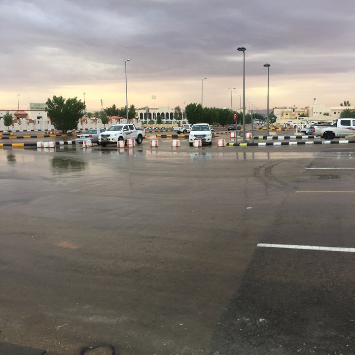 مشاركاتي في أنت الراصد