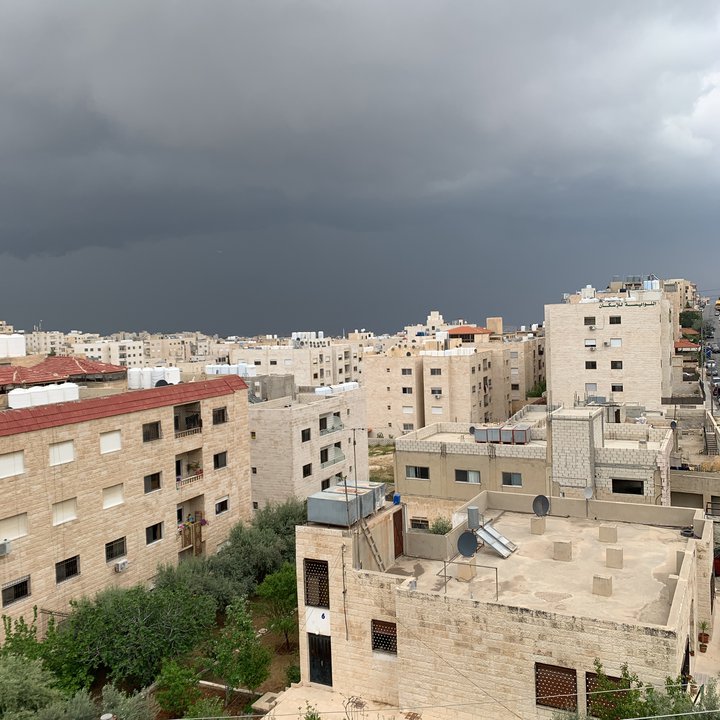 مشاركاتي في أنت الراصد