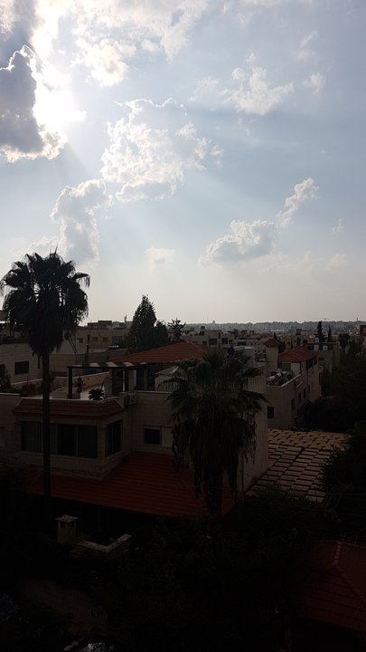 مشاركاتي في أنت الراصد