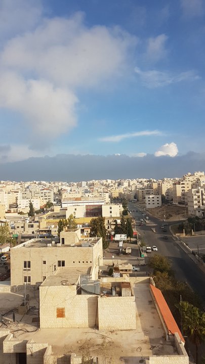 مشاركاتي في أنت الراصد