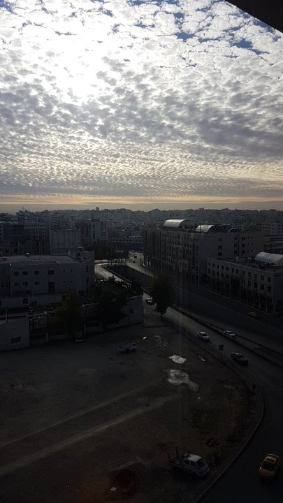 مشاركاتي في أنت الراصد