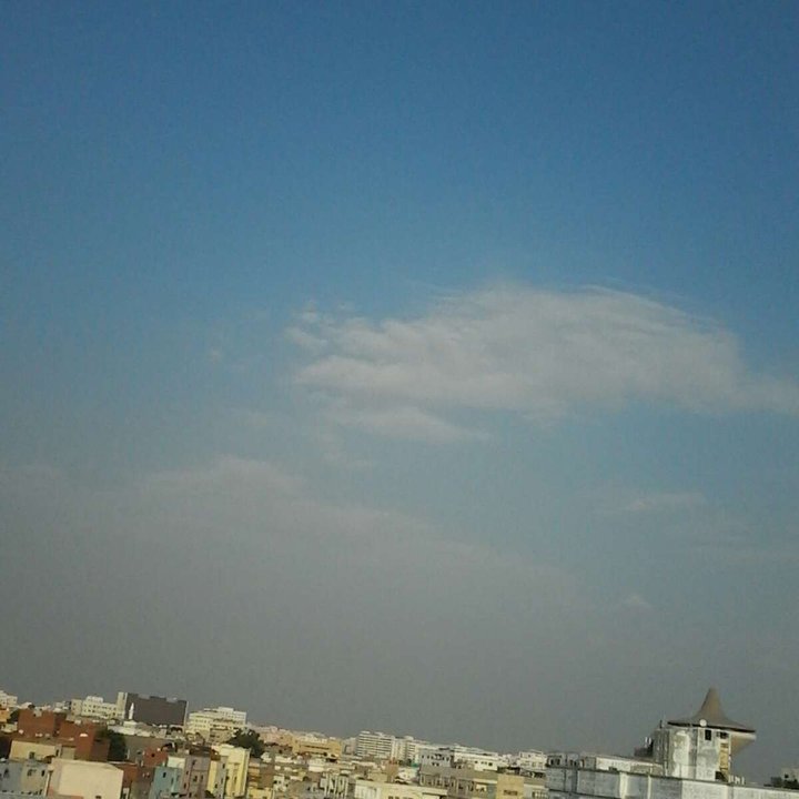 مشاركاتي في أنت الراصد