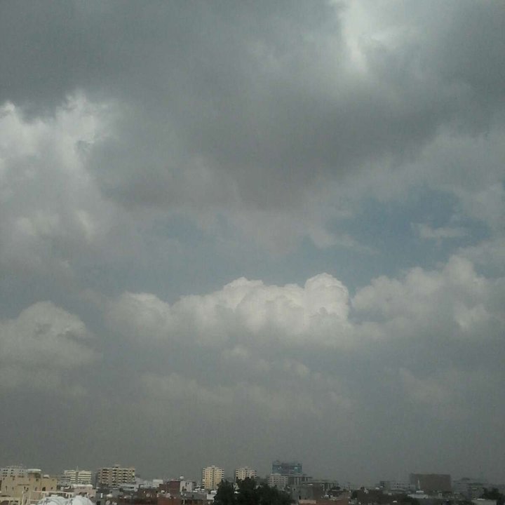 مشاركاتي في أنت الراصد