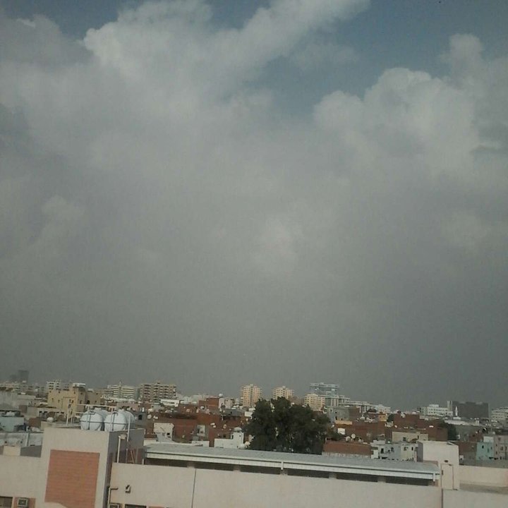 مشاركاتي في أنت الراصد