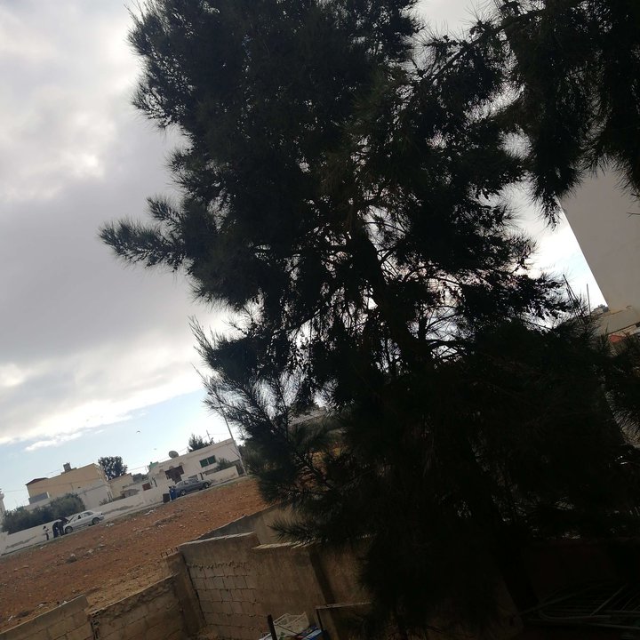 My Crowdsourcing Posts