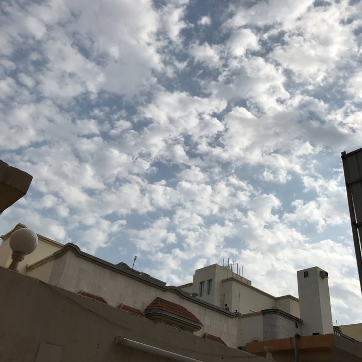 مشاركاتي في أنت الراصد