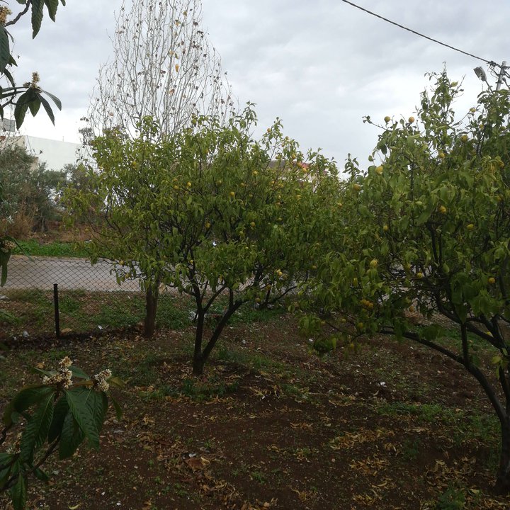 My Crowdsourcing Posts