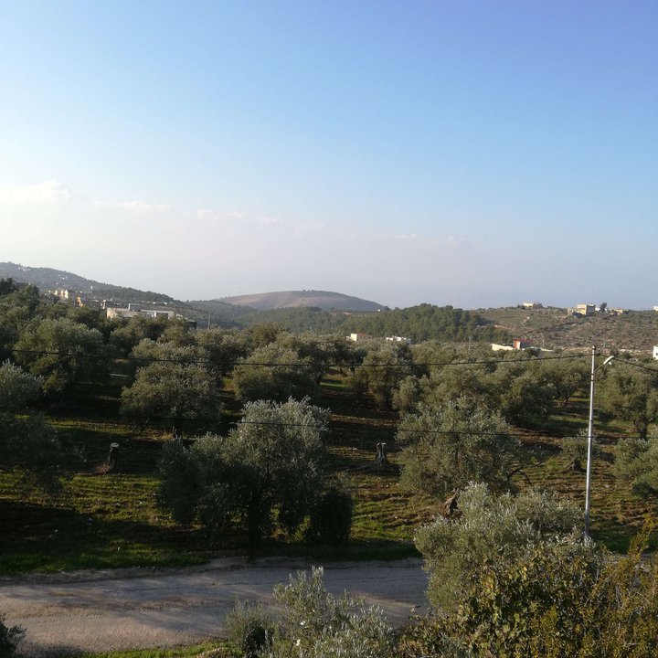 My Crowdsourcing Posts