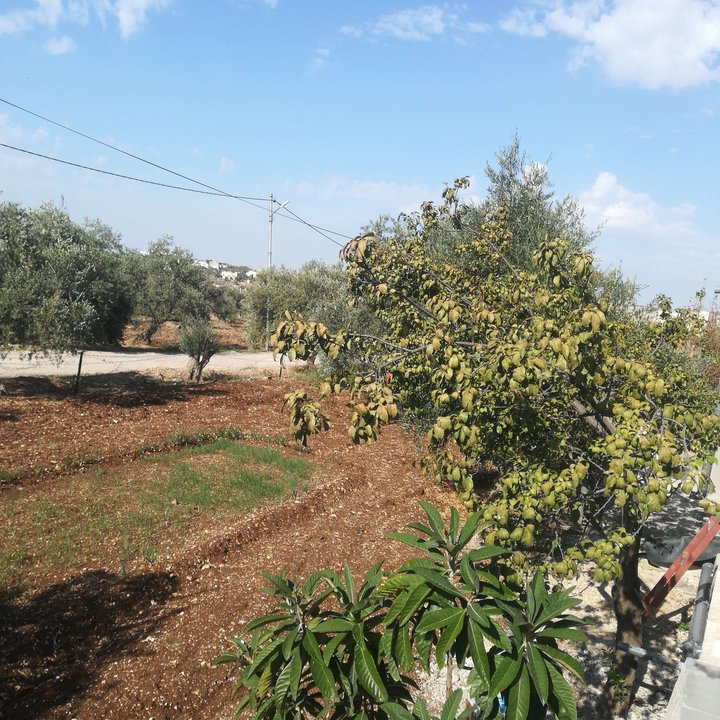 My Crowdsourcing Posts