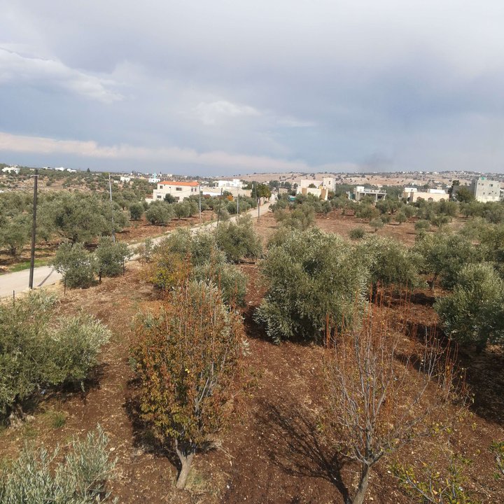 My Crowdsourcing Posts