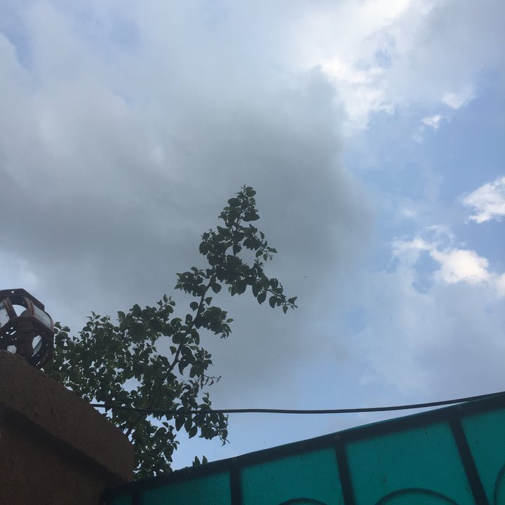 مشاركاتي في أنت الراصد