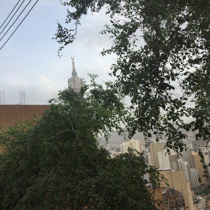 مشاركاتي في أنت الراصد