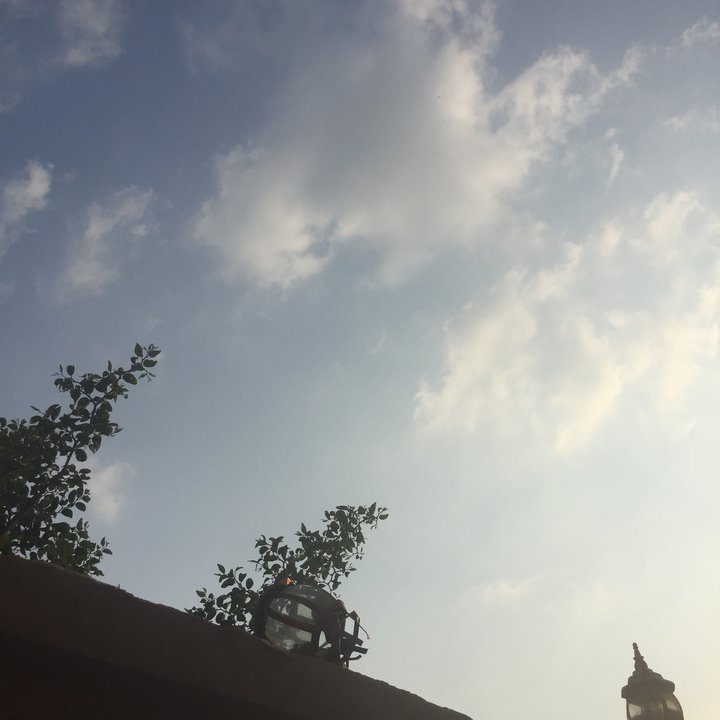 مشاركاتي في أنت الراصد