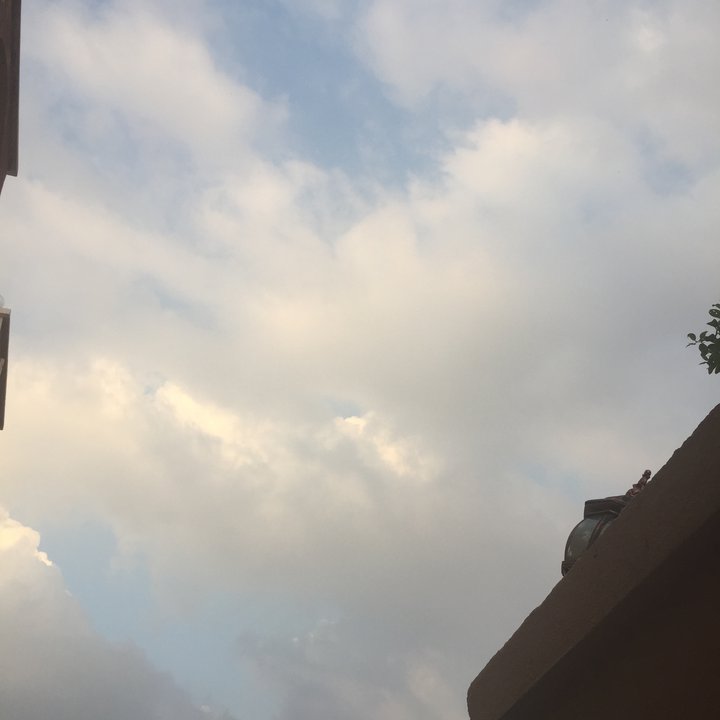 مشاركاتي في أنت الراصد