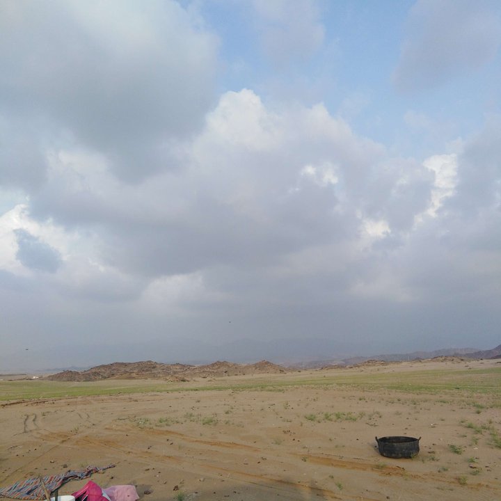 مشاركاتي في أنت الراصد