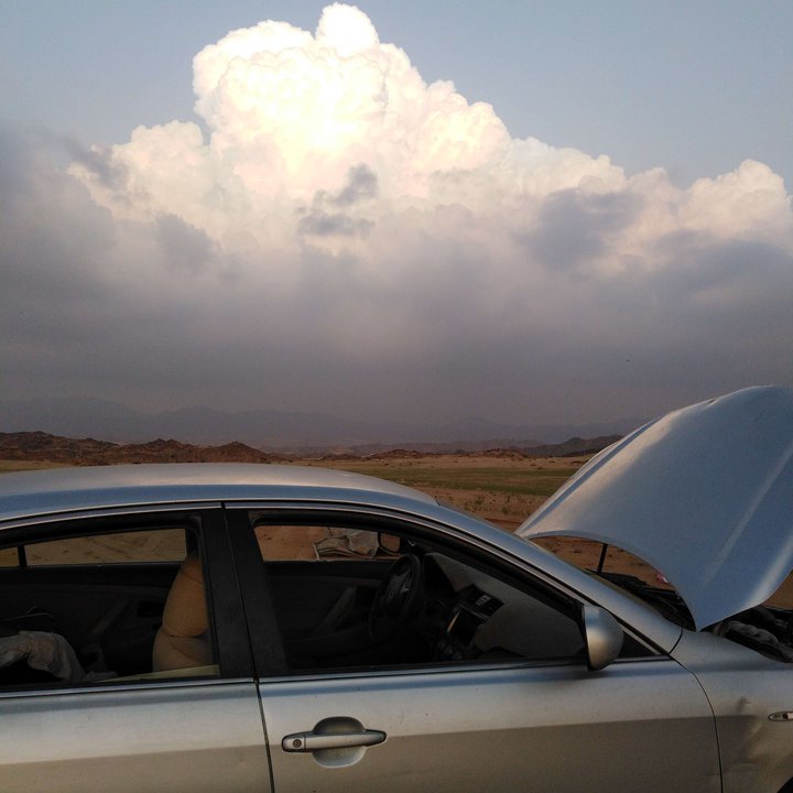 مشاركاتي في أنت الراصد