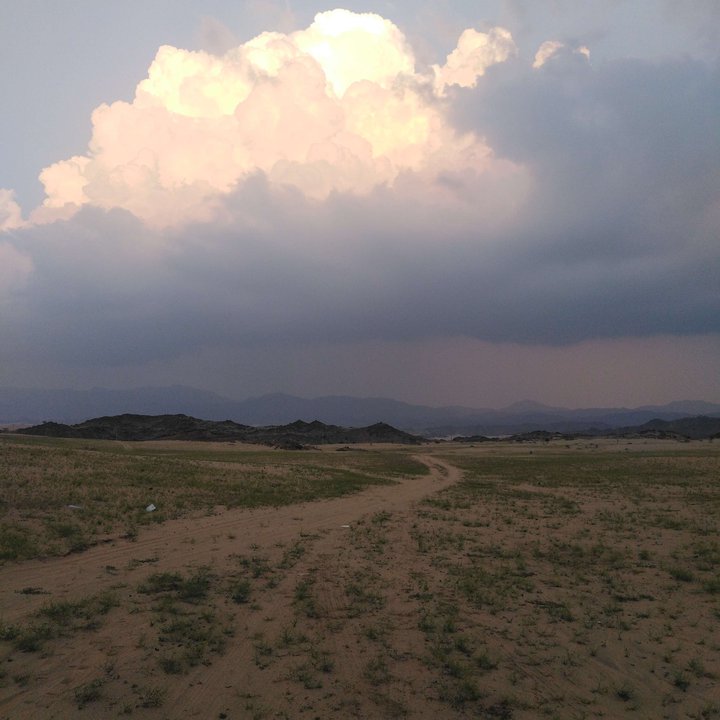 مشاركاتي في أنت الراصد