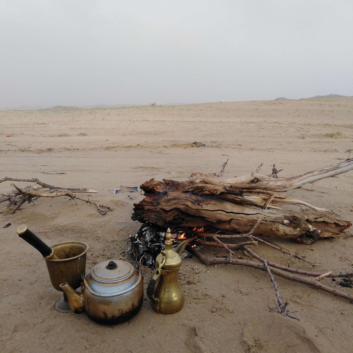 مشاركاتي في أنت الراصد