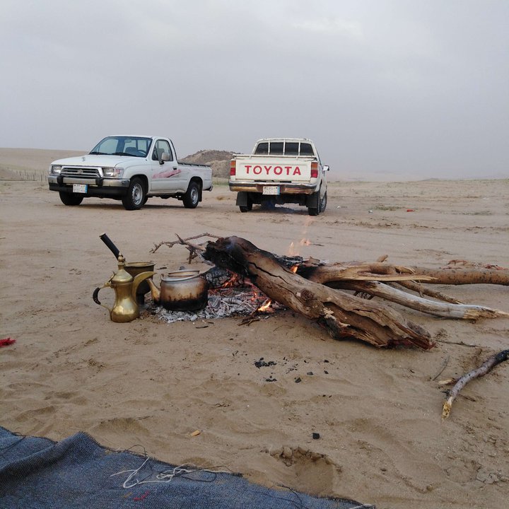 مشاركاتي في أنت الراصد