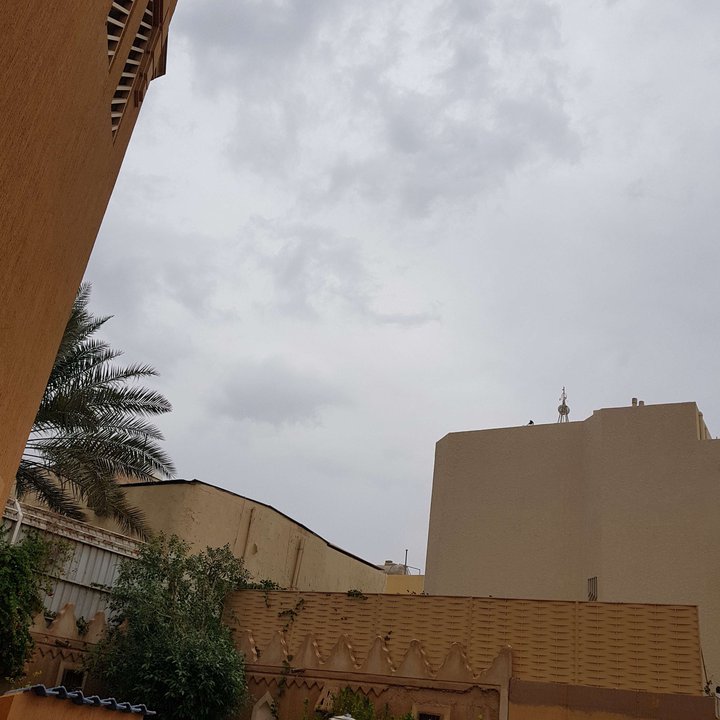 مشاركاتي في أنت الراصد