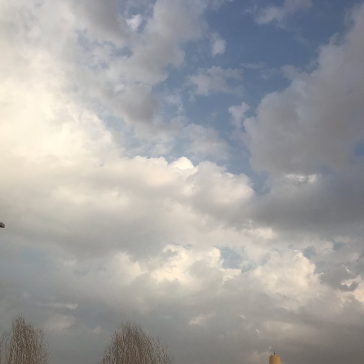 مشاركاتي في أنت الراصد