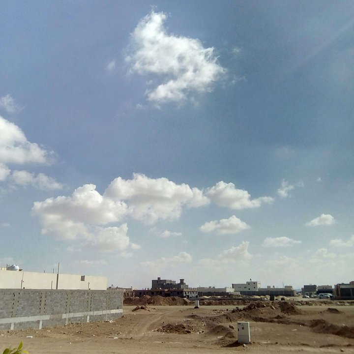 مشاركاتي في أنت الراصد