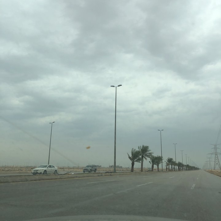 مشاركاتي في أنت الراصد