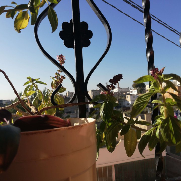 My Crowdsourcing Posts