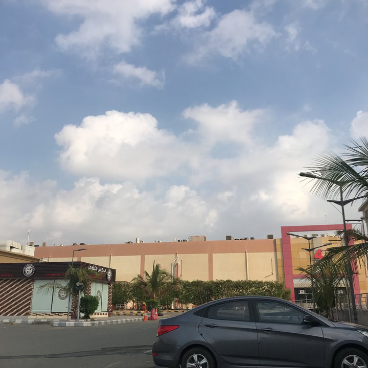 مشاركاتي في أنت الراصد