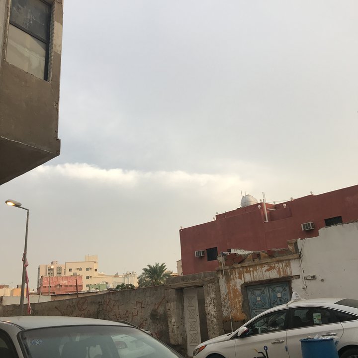 مشاركاتي في أنت الراصد