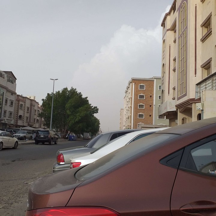 مشاركاتي في أنت الراصد