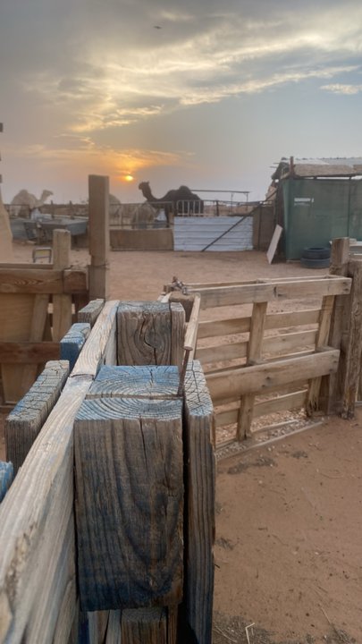 My Crowdsourcing Posts