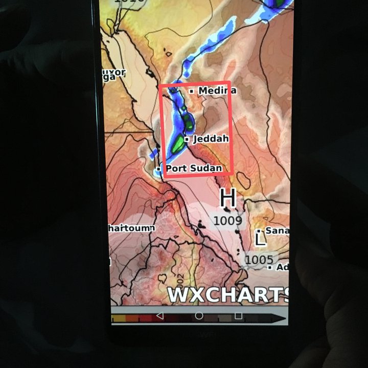 مشاركاتي في أنت الراصد